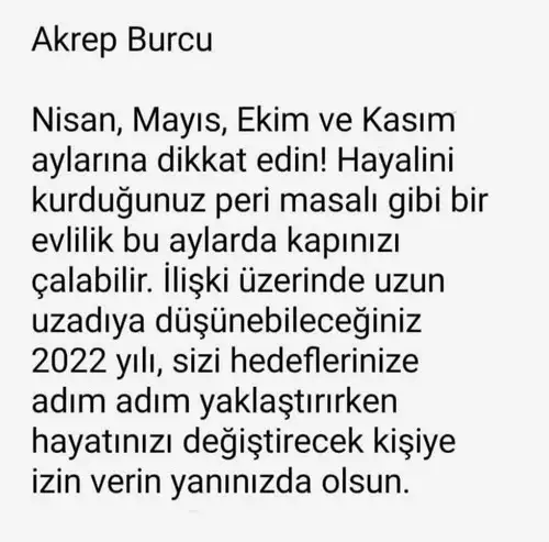 yıllık30 (5).webp