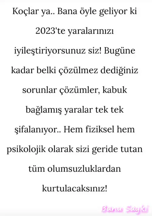 yıllık30 banu sayki boğa eksik (1).webp