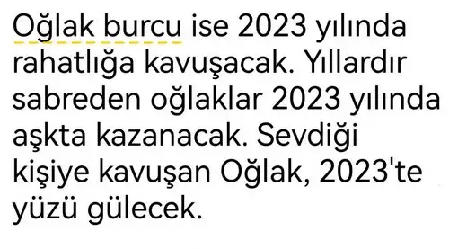 yıllık32 (4).webp