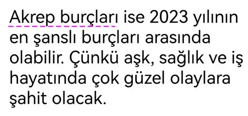 yıllık32 (5).webp