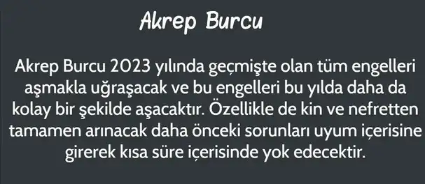 yıllık33 (8).webp