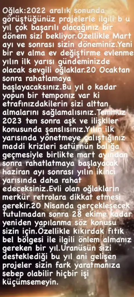 yıllık34 (10).webp
