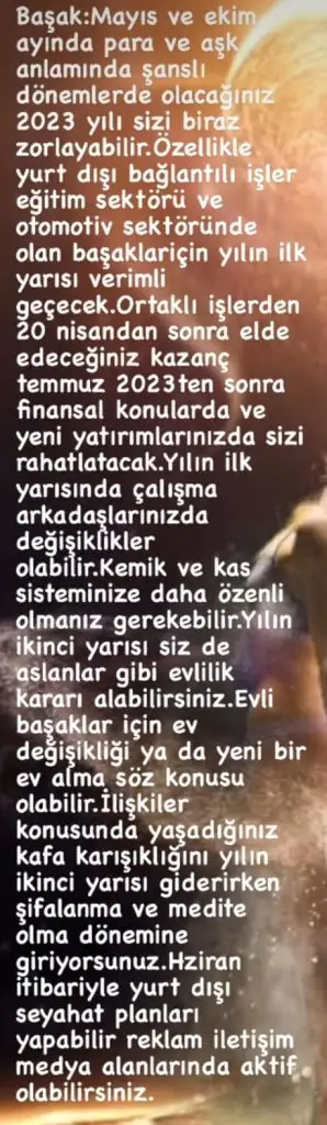 yıllık34 (6).webp