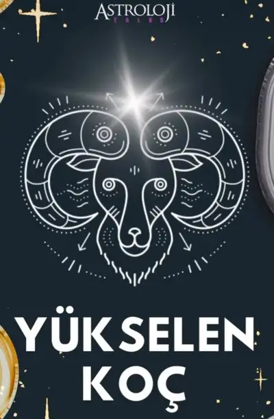 yıllık35 (1).webp