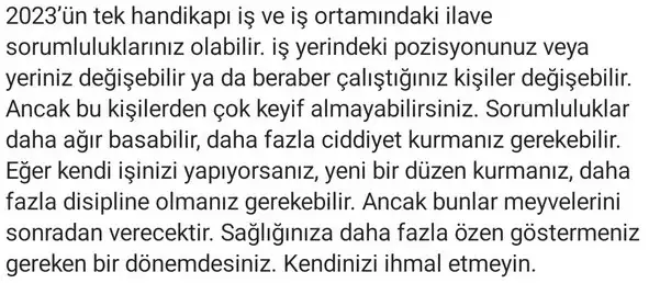 yıllık36 (14).webp