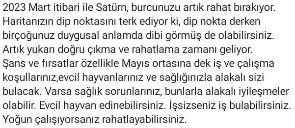 yıllık36 (16).webp