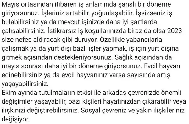 yıllık36 (18).webp