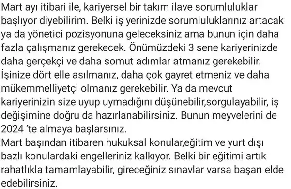 yıllık36 (7) - Kopya.webp