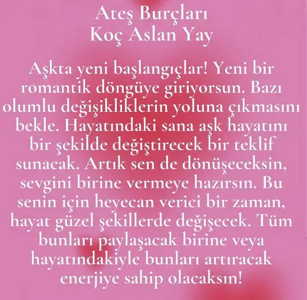 yıllık38 (1).webp