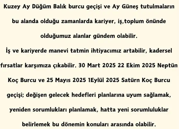 yıllık4 (14).webp