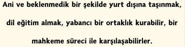 yıllık4 (35).webp