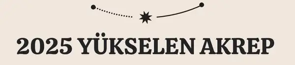 yıllık4 (36).webp