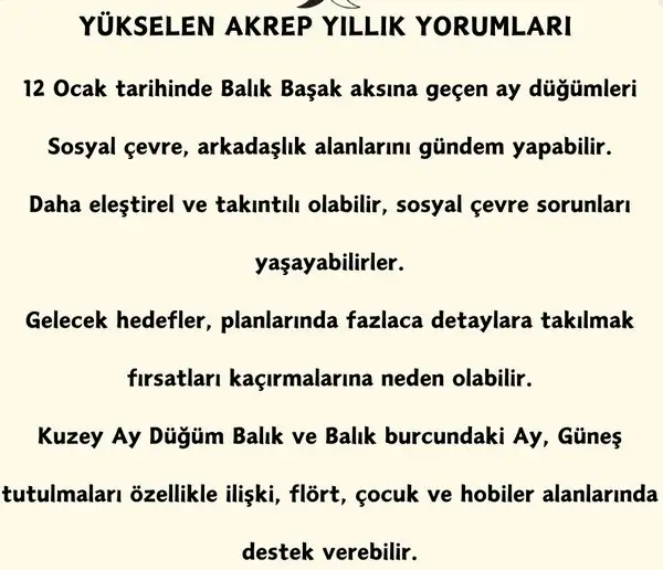 yıllık4 (37).webp