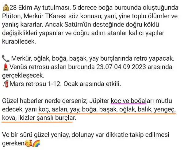 yıllık4 (4).webp