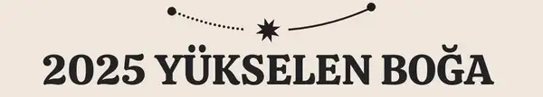 yıllık4 (6).webp