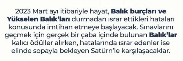 yıllık42 (8).jpg