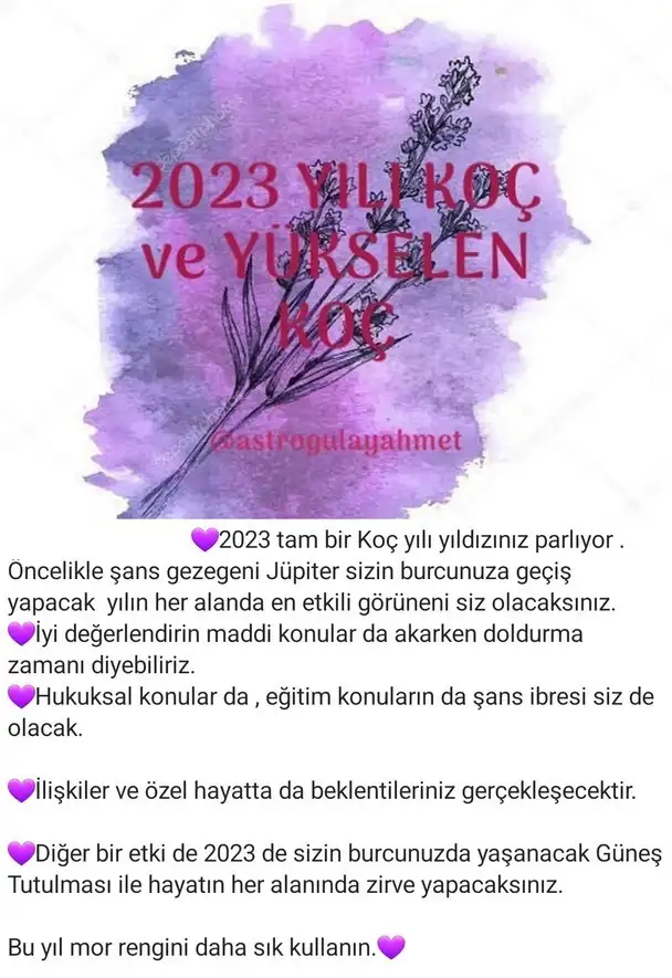 yıllık43 (1).webp