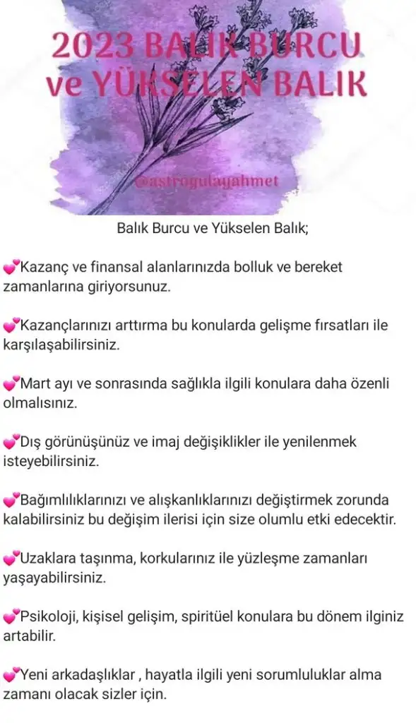 yıllık43 (12).webp