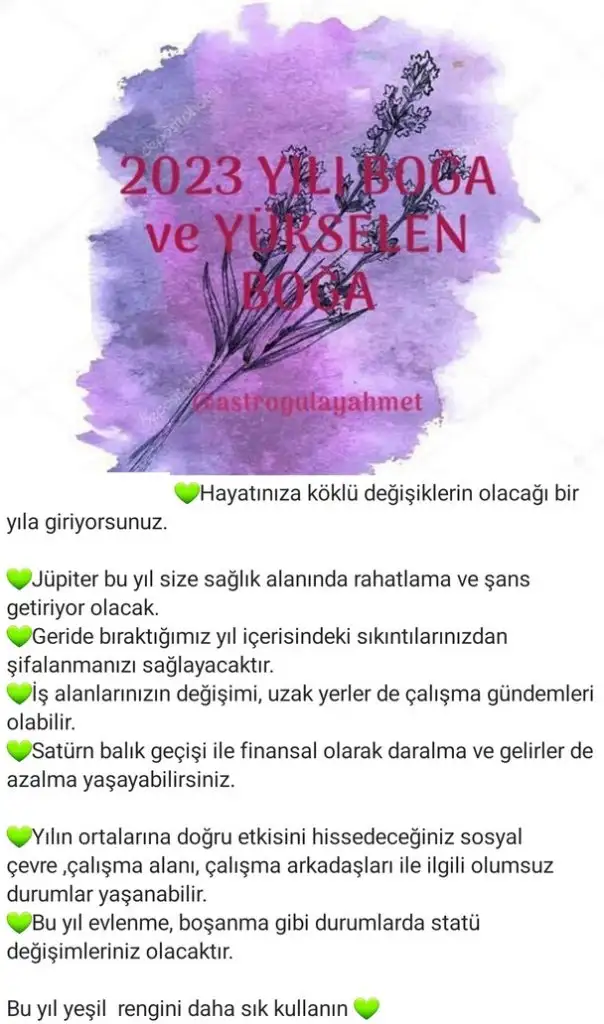 yıllık43 (2).webp