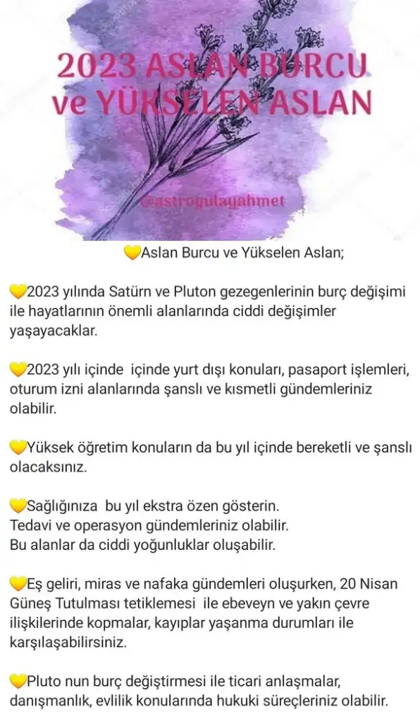 yıllık43 (5).webp