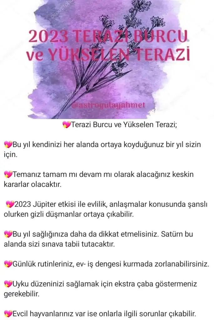 yıllık43 (7).webp