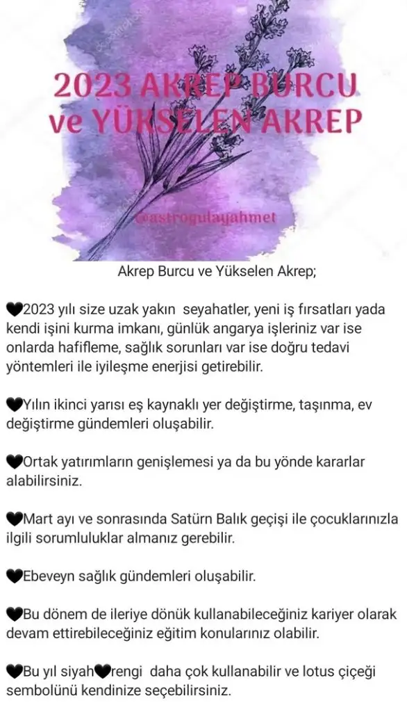 yıllık43 (8).webp
