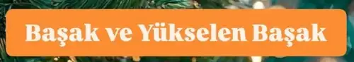 yıllık5 (11).webp