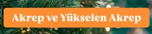yıllık5 (15).webp