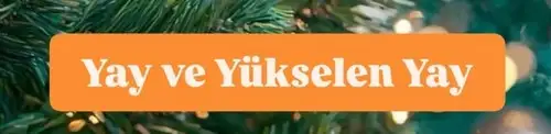 yıllık5 (17).webp