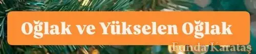 yıllık5 (19).webp