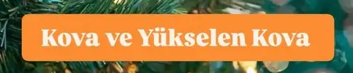 yıllık5 (21).webp