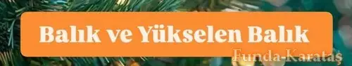 yıllık5 (24).webp