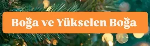 yıllık5 (3).webp