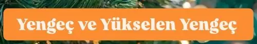 yıllık5 (7).webp