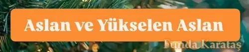 yıllık5 (9).webp