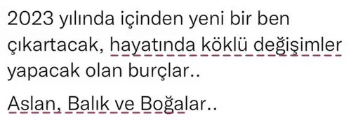 yıllık51 (3).webp