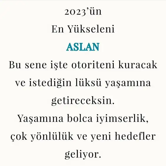 yıllık59 (5).webp