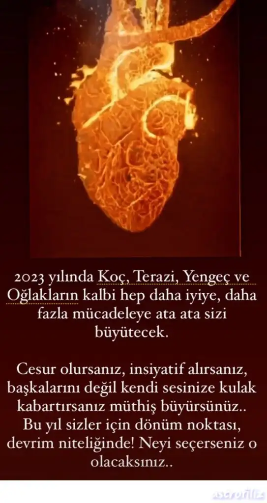 yıllık60  (1).webp