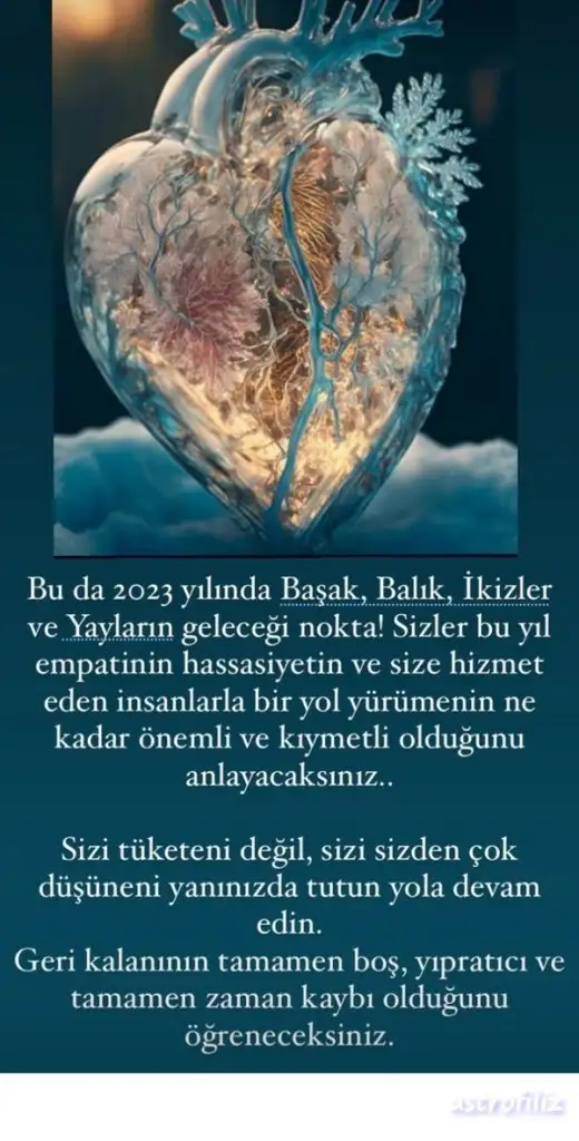 yıllık60  (2).webp