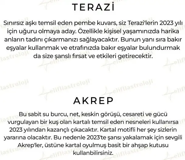 yıllık62 (5).webp