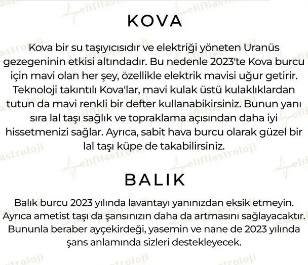 yıllık62 (7).webp