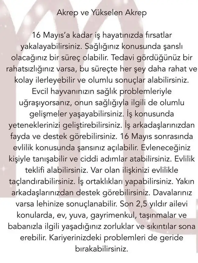 yıllık63 (30).webp