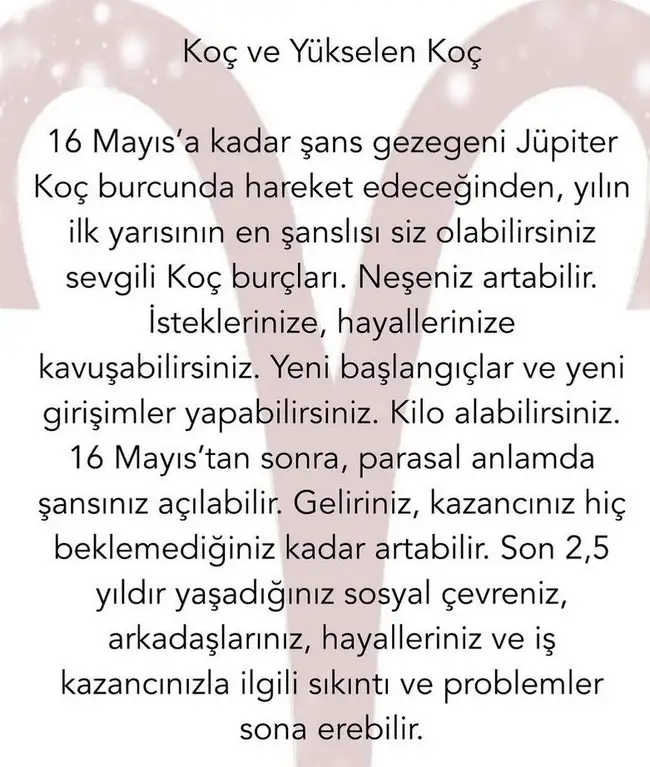 yıllık63 (7).webp