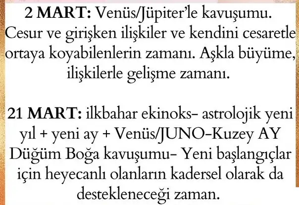 yıllık65 (2).webp