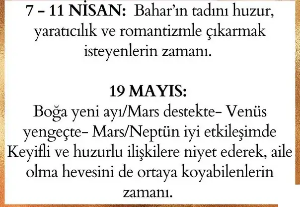 yıllık65 (3).webp