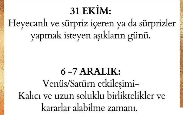 yıllık65 (4).webp