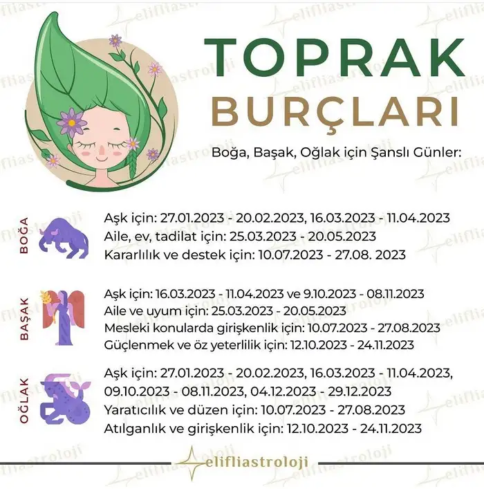 yıllık66 (3).webp