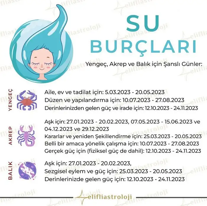 yıllık66 (5).webp
