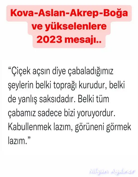 yıllık7.webp