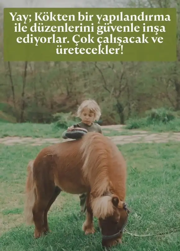 yıllık8 (10).webp